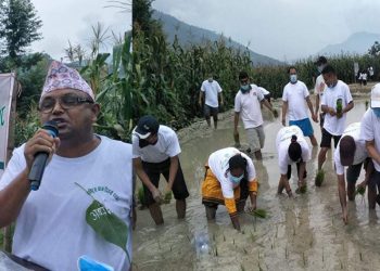 मन्थलीको बृहत प्राविधिक शिक्षालयमा मनाईयो धान दिवस