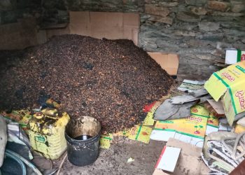 करम्बोटको दाल्मोठ कार्खानामा आगलागि