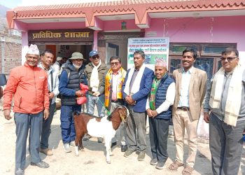 रामेछापमा प्रधानमन्त्रीद्वारा ३१ वटा वाख्रा पाठा बितरण