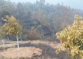 रामेछापको जुनारमा आगलागी