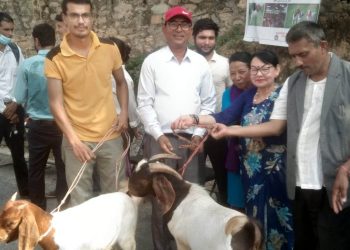 प्रधानमन्त्री द्वारा वोयर वोका,पाठी वितरण