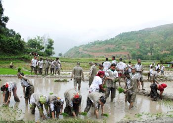 रामेछापमा पनि धान दिवस मनाइयो