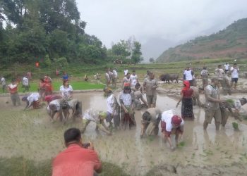 रामेछाप जिल्ला भरमा १८ प्रतिशत मात्र रोपाइँ