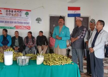 नेपाली काँग्रेस रामेछापको शुभकामना तथा चियापान