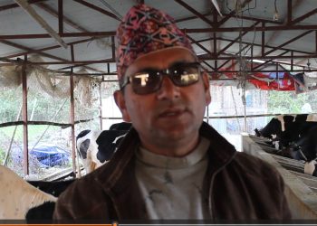 संघर्ष गर्दै सफल युवा ब्यवसायी बने ढकाल