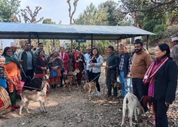  अपाङ्गता भएका व्यक्तिहरूलाई बाख्रा वितरण र प्राधिकरण 